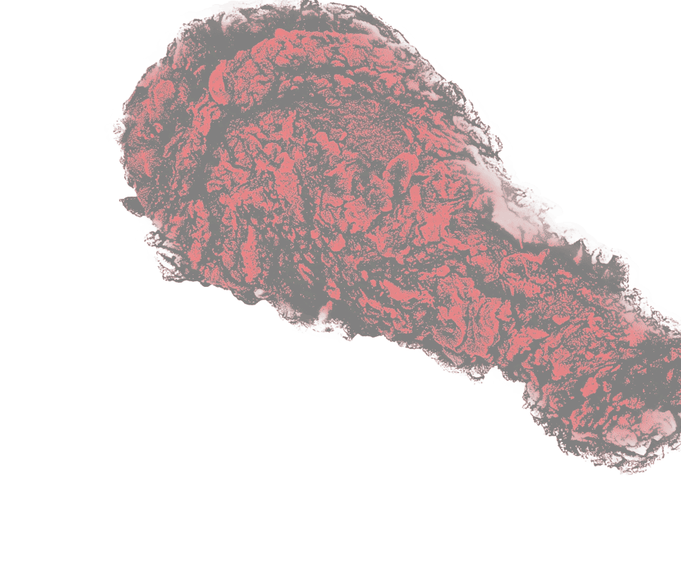 가장맛있는치킨